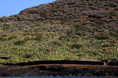 ISOLA DI LINOSA panoramiche e particolari. Fotografie di Giulio Azzarello &copy;2014.