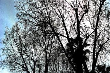 VILLA BONANNO a Palermo. Fotografie di Giulio Azzarello &copy;2016.