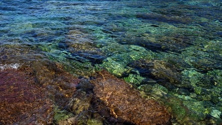 BAIA DEL CORALLO. Fotografie di Giulio Azzarello &copy;2022.