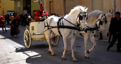 LE VERONICHE di Marsala in Sicilia. Fotografie di Giulio Azzarello ©2016. LE VERONICHE di Marsala in Sicilia. Fotografie di Giulio Azzarello ©2016.