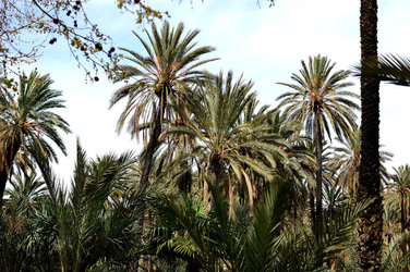 VILLA BONANNO a Palermo. Fotografie di Giulio Azzarello &copy;2016.