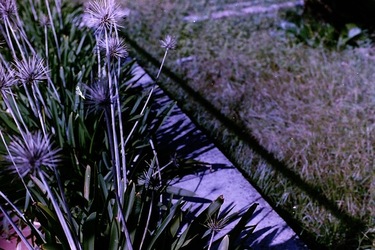 DIGITALIZZAZIONI fotografie di Giulio Azzarello &copy;2020.