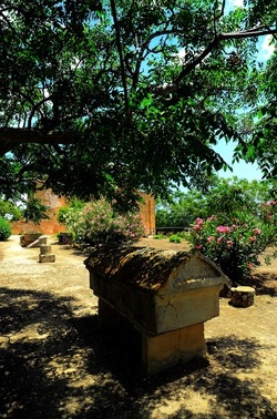 SELINUNTE sito archeologico. Fotografie di Giulio Azzarello ©2018. SELINUNTE sito archeologico. Fotografie di Giulio Azzarello ©2018.