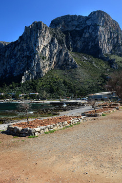 CAPO GALLO riserva marina e naturalistica a Palermo panoramiche e particolari. Fotografie di Giulio Azzarello ©2014. CAPO GALLO riserva marina e naturalistica a Palermo panoramiche e particolari. Fotografie di Giulio Azzarello ©2014.