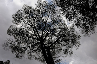 GANCI comune e antico borgo medievale delle Madonie in Sicilia. Fotografie di Giulio Azzarello &copy;2014.