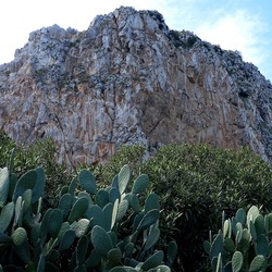 RISERVA NATURALE. Fotografie di Giulio Azzarello &copy;2022.