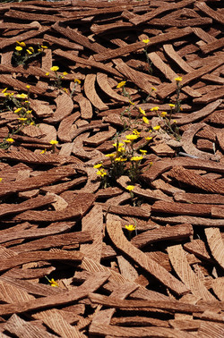 ARTE CONTEMPORANEA A PIRGI sito e riserva archeologica. Fotografie di Giulio Azzarello &copy;2014.