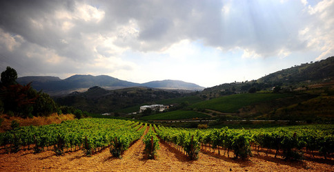 CAMPAGNA SICILIANA. Fotografie di Giulio Azzarello &copy;2016.