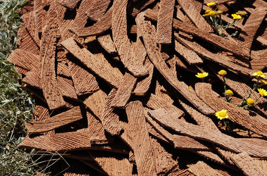 ARTE CONTEMPORANEA A PIRGI sito e riserva archeologica. Fotografie di Giulio Azzarello &copy;2014.