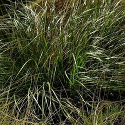 OSSERVAZIONI. Fotografie di Giulio Azzarello ©2022. OSSERVAZIONI. Fotografie di Giulio Azzarello ©2022.