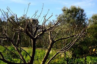 CAMPAGNA fotografie di Giulio Azzarello ©2020.