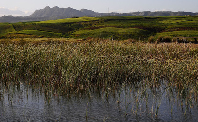 PAESAGGIO SICILIANO nel luogo delle macalube in Sicilia. Fotografie di Giulio Azzarello &copy;2014.
