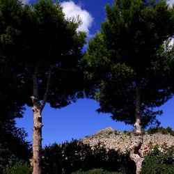 MONDELLO fotografie di Giulio Azzarello ©2021. MONDELLO fotografie di Giulio Azzarello ©2021.