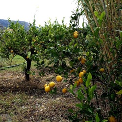 CAMMINANDO. Fotografie di Giulio Azzarello &copy;2024.
