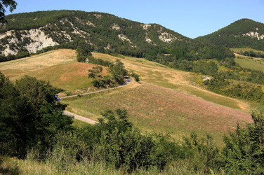 IL PARCO DELLA MEMORIA DI MONTESOLE Marzabotto . Fotografie di Giulio Azzarello &copy;2014.