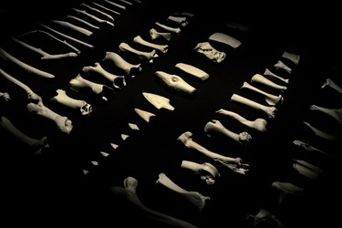 PADIGLIONE AFRICANO Biennale di Venezia. Fotografie di Giulio Azzarello &copy;2020.