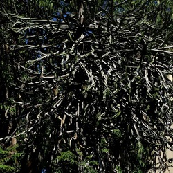 GIARDINO. Fotografie di Giulio Azzarello ©2022.