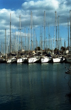 MARE Mondello e Palermo febbraio 2022. Fotografie di Giulio Azzarello &copy;2022.