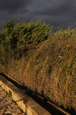 LUIGI PIRANDELLO il parco e la casa museo. Fotografie di Giulio Azzarello ©2014.