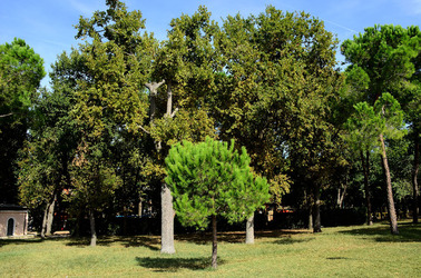 GIARDINI della BIENNALE a Venezia. Foto di Giulio Azzarello &copy;2015 2016.