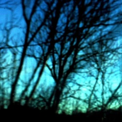 TRENO fotografie di Giulio Azzarello ©2020. TRENO fotografie di Giulio Azzarello ©2020.