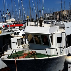 PALERMO. Fotografie di Giulio Azzarello &copy;2023.