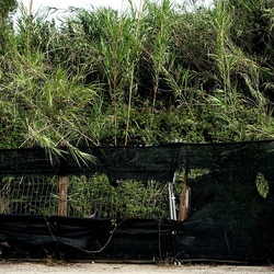 ZISA. Fotografie di Giulio Azzarello &copy;2023.