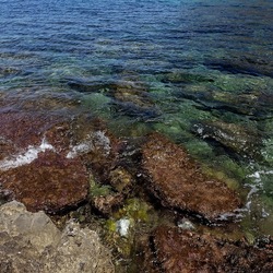 BAIA DEL CORALLO. Fotografie di Giulio Azzarello &copy;2022.
