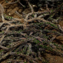 ORTO BOTANICO. Fotografie di Giulio Azzarello &copy;2024.