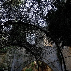 Arabo Normanno. Fotografie di Giulio Azzarello ©2024. Arabo Normanno. Fotografie di Giulio Azzarello ©2024.