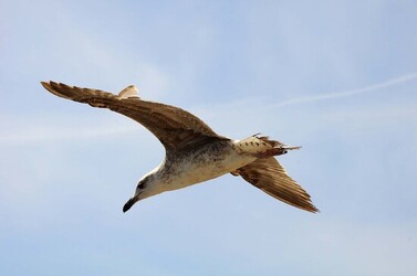 MONDELLO in Sicilia a Palermo. Fotografie di Giulio Azzarello ©2014.