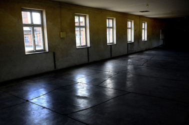 AUSCHWITZ BIRKENAU il percorso della memoria e i documenti. Fotografie di Giulio Azzarello &copy;2016.