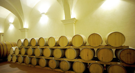 BOTTI per il vino. Fotografie di Giulio Azzarello ©2016. BOTTI per il vino. Fotografie di Giulio Azzarello ©2016.