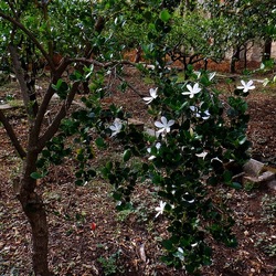 AUTUNNO fotografie di Giulio Azzarello ©2021. AUTUNNO fotografie di Giulio Azzarello ©2021.