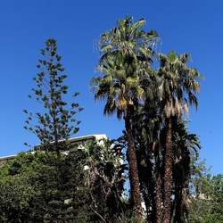 GIARDINO. Fotografie di Giulio Azzarello ©2022.