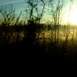 TRENO fotografie di Giulio Azzarello ©2020. TRENO fotografie di Giulio Azzarello ©2020.