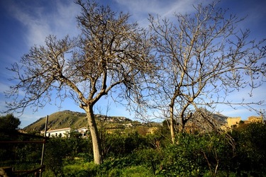 CAMPAGNA fotografie di Giulio Azzarello ©2020.