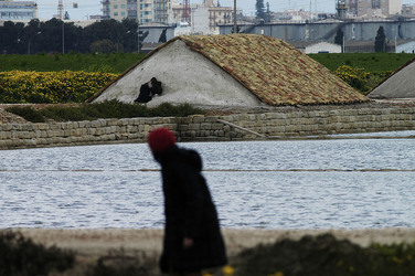 WWF Sicilia le Saline di Trapani. Fotografie di Giulio Azzarello &copy;2014.