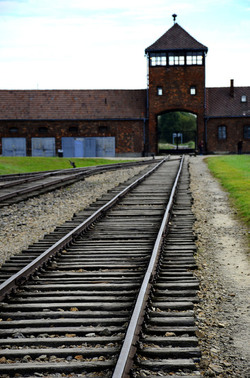 AUSCHIWITZ BIRKENAU il luogo della storia il campo. Fotografie di Giulio Azzarello &copy;2016.