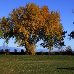 VICENZA La Rotonda di Andrea Palladio. Fotografie di Giulio Azzarello &copy;2022.