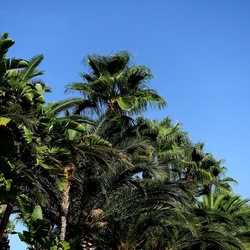 SELINUNTE. Fotografie di Giulio Azzarello ©2022. SELINUNTE. Fotografie di Giulio Azzarello ©2022.