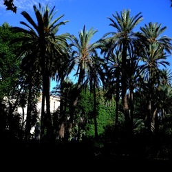 PALERMO fotografie di Giulio Azzarello &copy;2020.