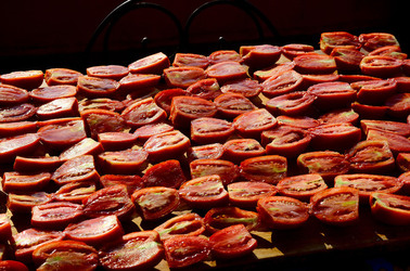 ISOLA DI USTICA il paese. Fotografie di Giulio Azzarello ©2016. ISOLA DI USTICA il paese. Fotografie di Giulio Azzarello ©2016.