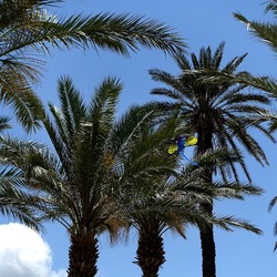 SAN VITO LO CAPO. Fotografie di Giulio Azzarello &copy;2023.
