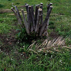 TRONCHI. Fotografie di Giulio Azzarello ©2022.