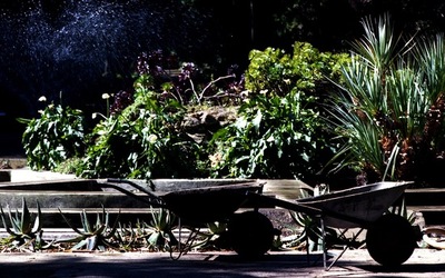ORTO BOTANICO di Palermo. Fotografie di Giulio Azzarello ©2021.