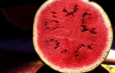 VUCCIRIA anni 90. Fotografie di Giulio Azzarello ©2022. VUCCIRIA anni 90. Fotografie di Giulio Azzarello ©2022.