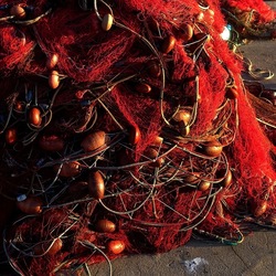 RETI DA PESCA. Fotografie di Giulio Azzarello &copy;2022.