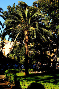 PALERMO il suo centro storico le periferie i monumenti. Fotografie di Giulio Azzarello ©2014.