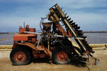 WWF Sicilia le Saline di Trapani. Fotografie di Giulio Azzarello &copy;2014.